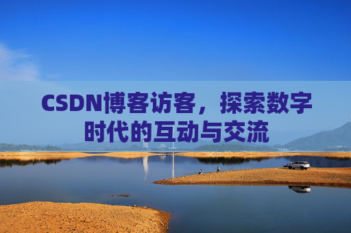 CSDN博客访客，探索数字时代的互动与交流